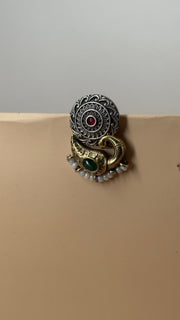 Kavya Multicolour Oxidised Earrings - Eksundar