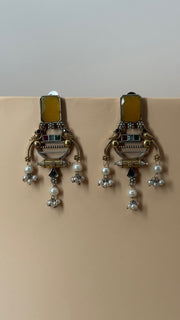 Aarya Tiger Eye Pearl Drop Earrings - Eksundar