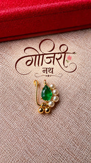 Gojiri Nath